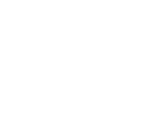 Evolution games at Winners Magic Casino